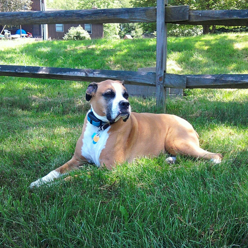 Meet your Posher, Janet - Picture 4 of 12